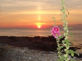 2-ile-de-noirmoutier-meubles-charlot-coucherdesoleil-5167278