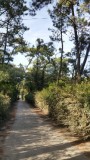 ile-de-noirmoutier-meubles-legras-bdc-6144204