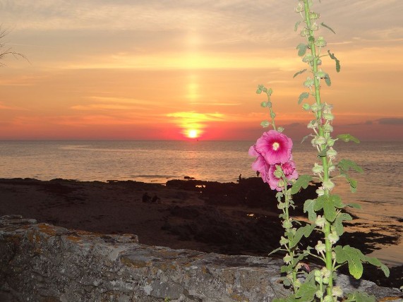 2-ile-de-noirmoutier-meubles-charlot-coucherdesoleil-5167278