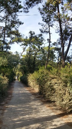 ile-de-noirmoutier-meubles-legras-bdc-6144204